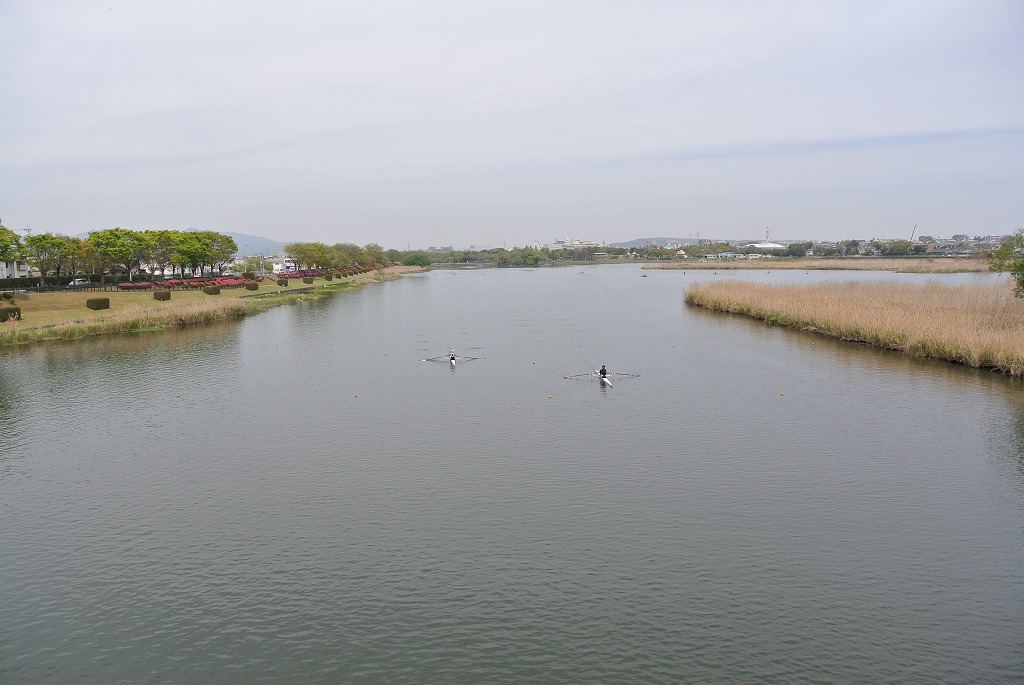 江津湖(熊本市)