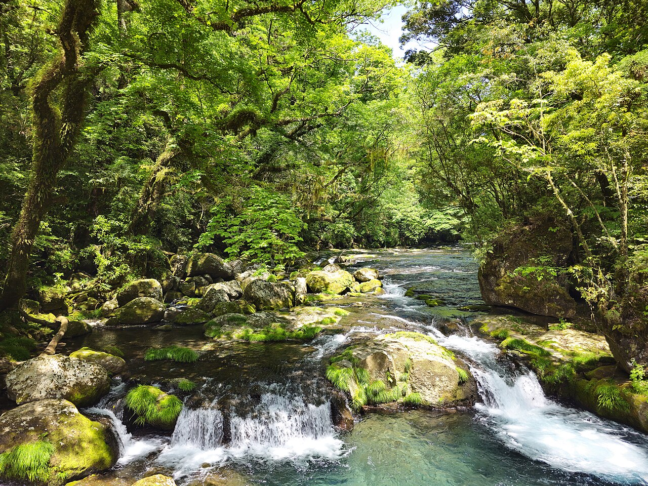 菊池渓谷の新緑と清流（熊本県菊池市）